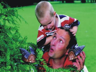 Maikäfer3